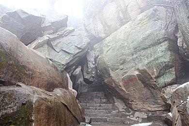 《生化危机4：重制版》里昂穿上高档皮衣 售价上万