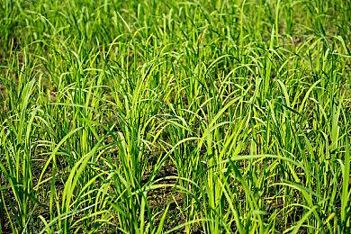 3DM速报：《英雄连3》明年发售 《最后的生还者2》美服永降20刀